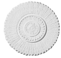 Large French Waterleaf